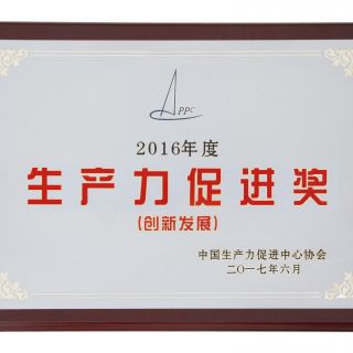 Productivity Promotion Award