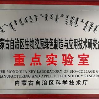 內(nèi)蒙古自治區(qū)企業(yè)重點(diǎn)實驗室